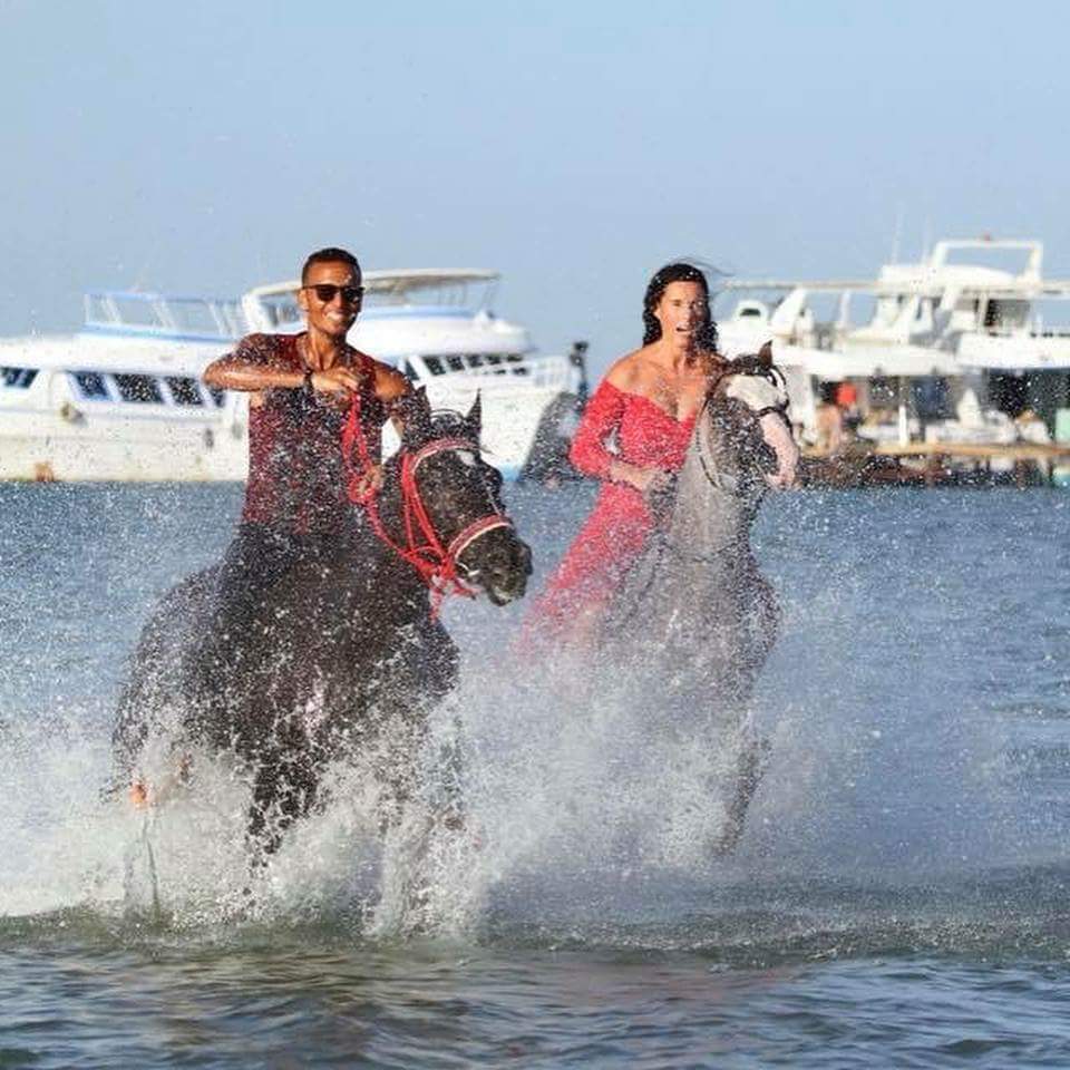 Horse riding 2 hours - Image 8