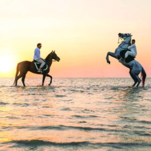 Horse riding 2 hours