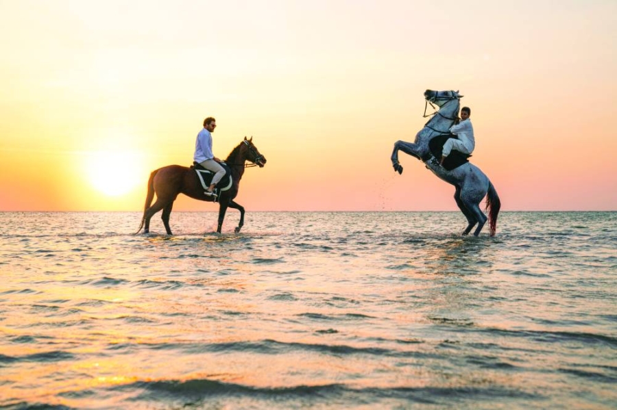 Horse riding 2 hours