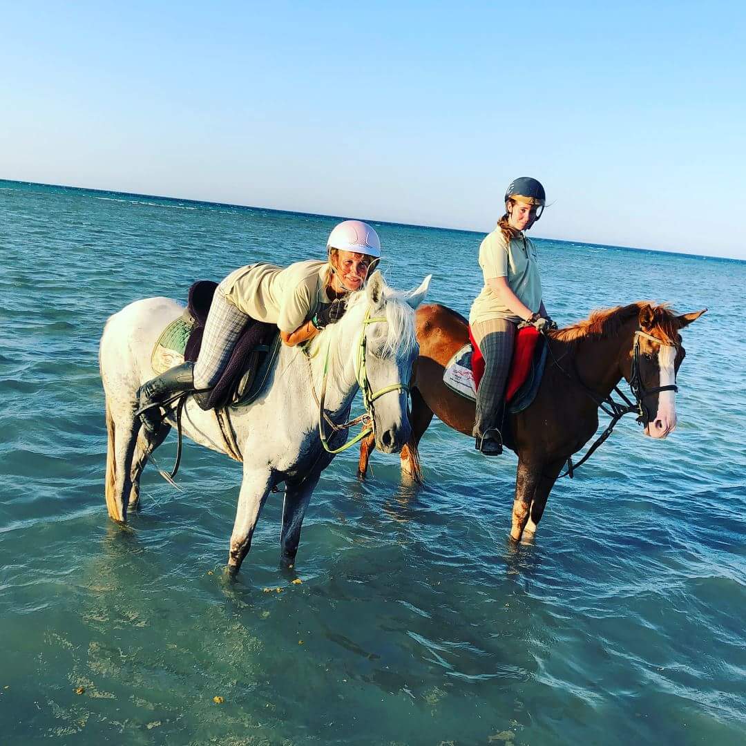 Horse riding 2 hours - Image 7