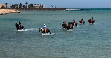 Horse riding 2 hours - Image 3