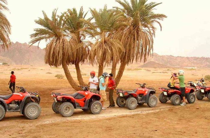 Safari night trip - Image 8