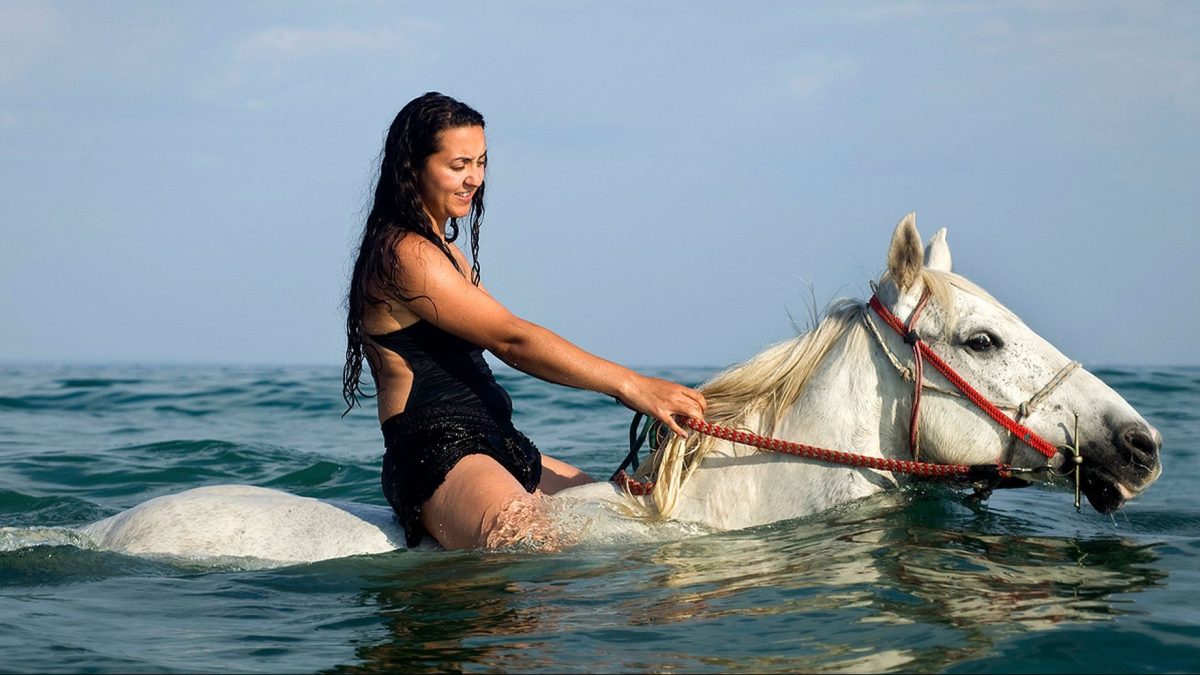 Horse riding 2 hours - Image 5