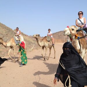 Safari Moto to Bedouin