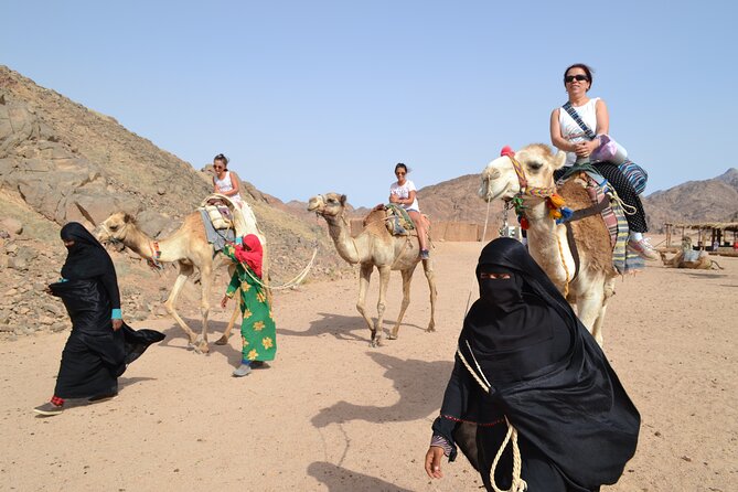 Safari night trip - Image 12