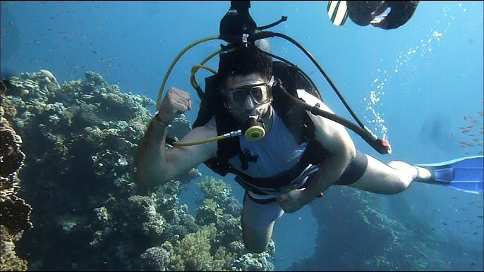 Diving intro + dolphin - Image 3