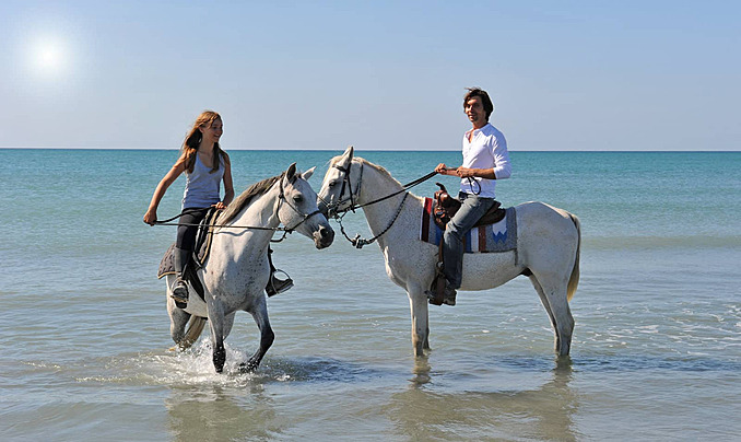 Horse riding 2 hours - Image 4