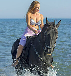 Horses riding 3 hours