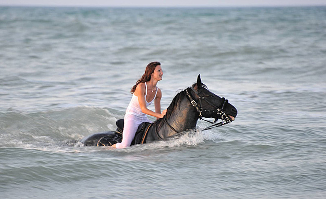 Horse riding 2 hours - Image 2