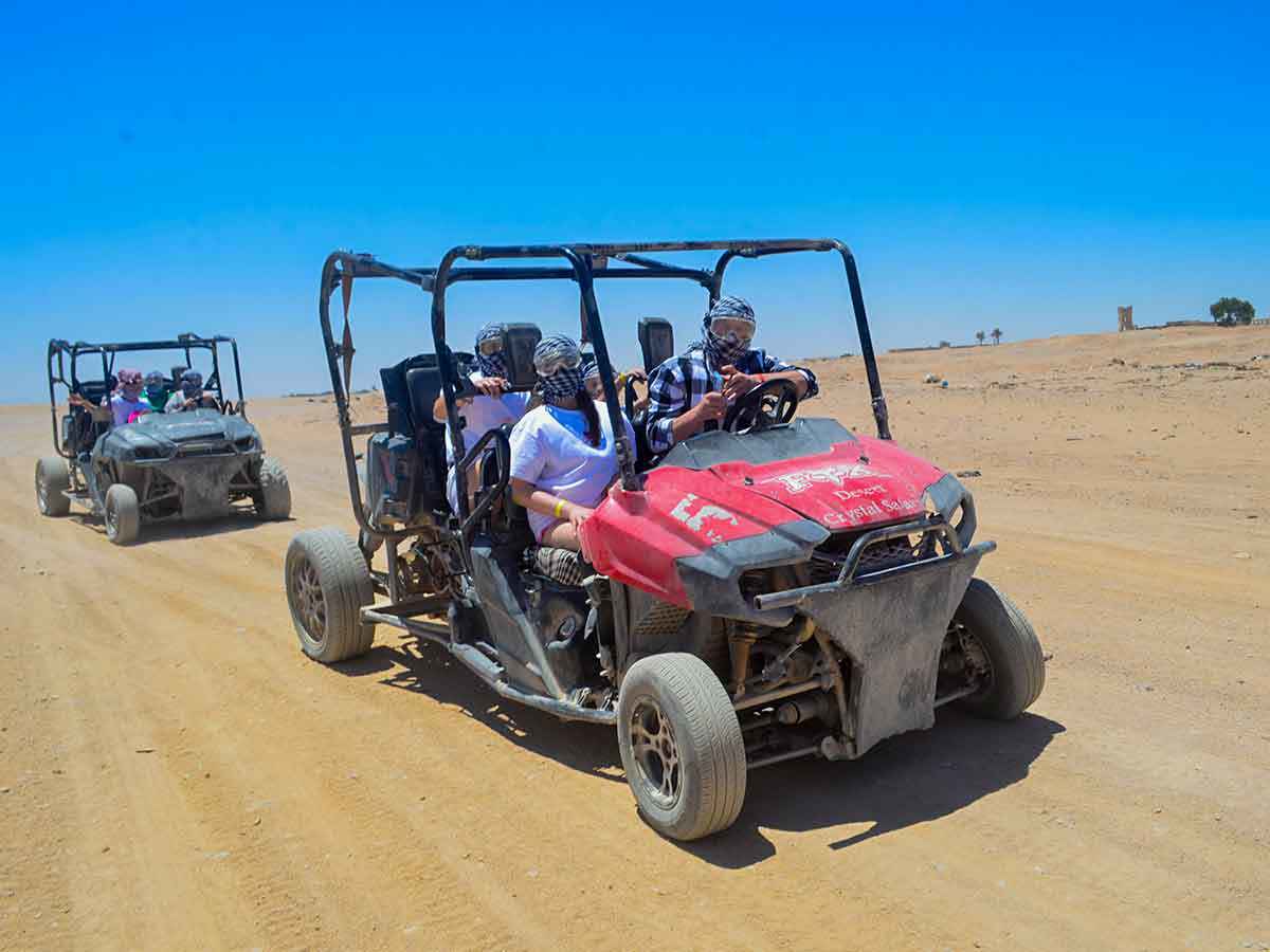 Safari night trip - Image 7